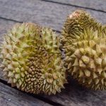 8 Essential Facts about Durian Fruit Unveiled