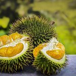 Durian Fruit Malaysia