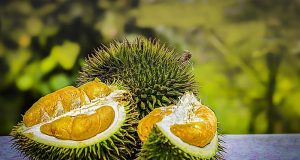 Durian Fruit Malaysia