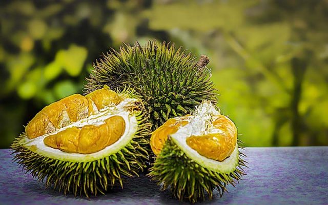 Durian Fruit Malaysia